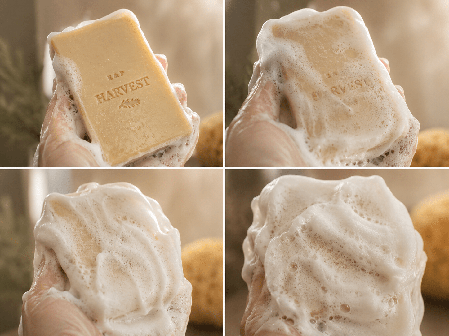 Harvest - Beef Suet Tallow Soap - Unscented - The Alabaster Collection - Earth & Pebble