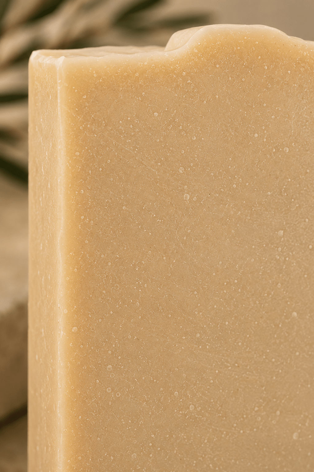 Earth & Pebble Refuge beef suet tallow soap with cedarwood, frankincense, and rosemary essential oils